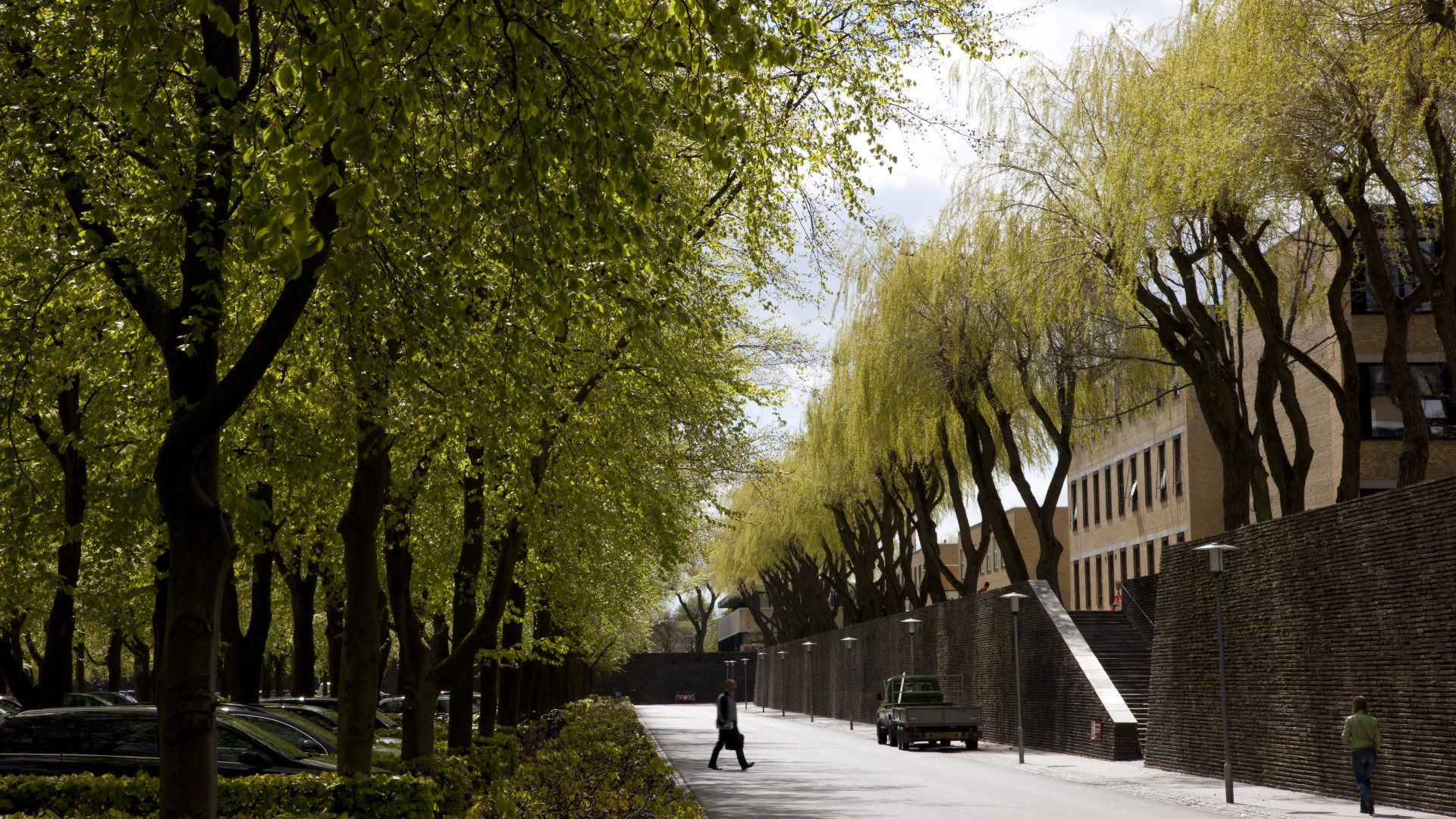 Mature trees line the central avenue that divide the four quadrants that make up DTU's main campus. ©DTU Mature trees line the central avenue that divide the four quadrants that make up DTU's main campus.