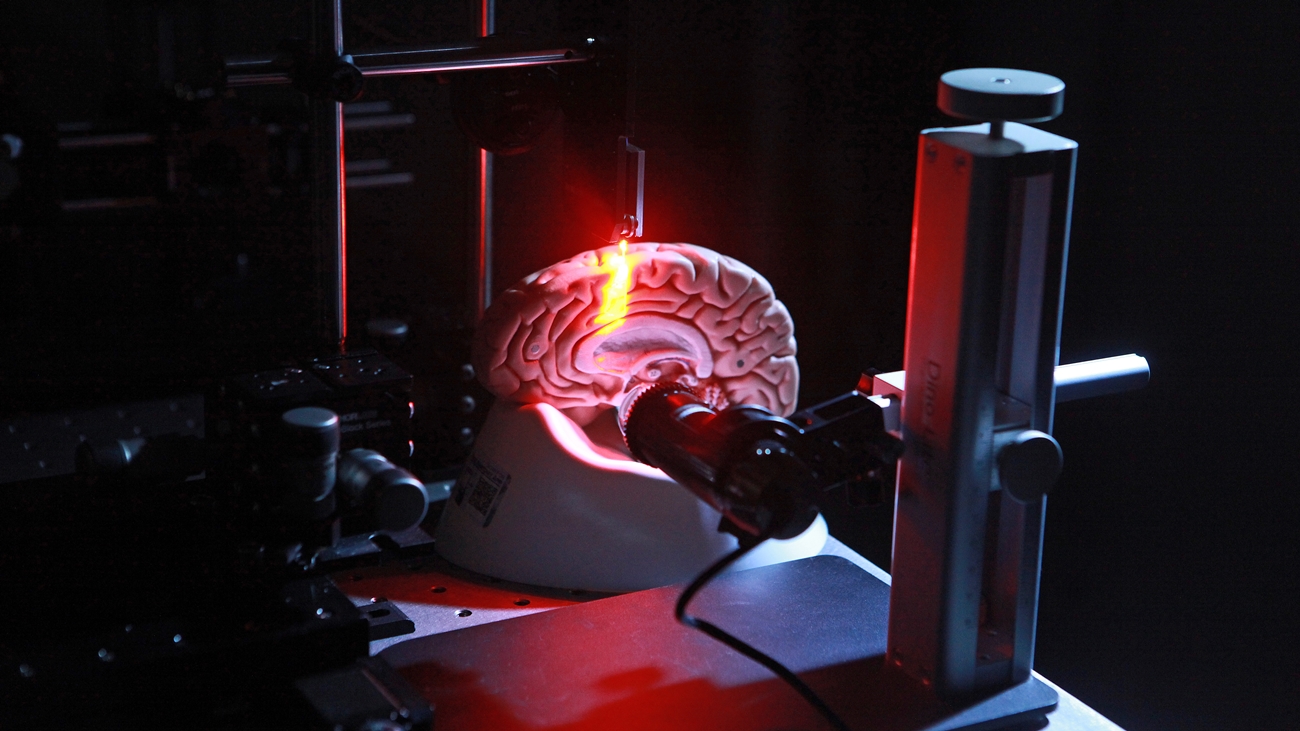 Brain model with optical fiber implant
